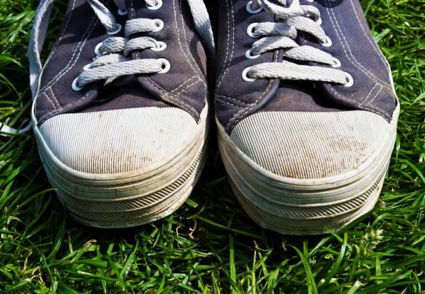 Why Community Ratings and Lab Tests Tell Different Stories About Sneaker Performance