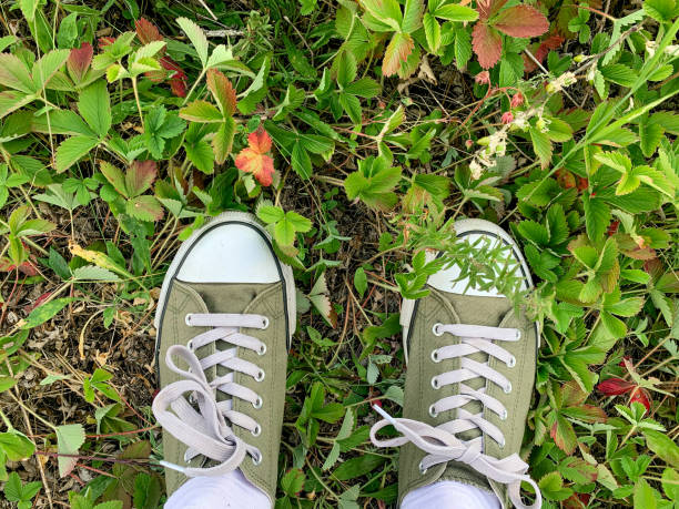 The Archivist in the Room: A Collector on Sneaker Memory, Resale, and Community