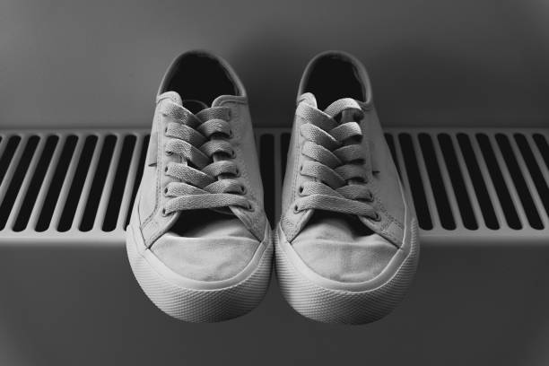 The Sidestripe That Changed Skateboarding: Vans Old Skool’s Enduring Icon Status