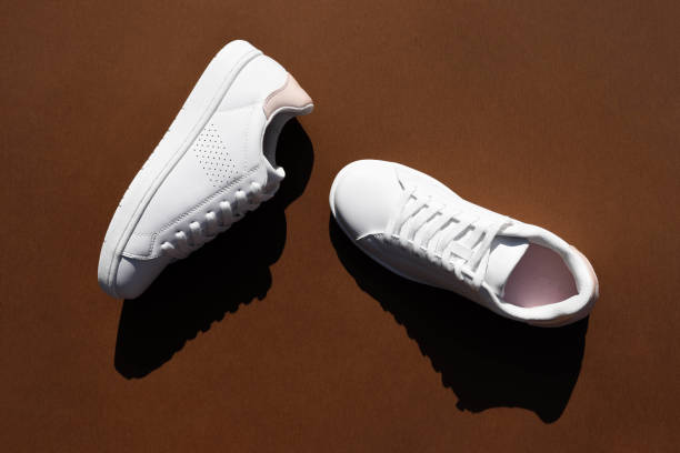 The Foundation of Every Step: Why Understanding Sneaker Construction Matters