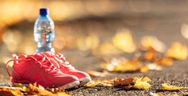 Hiking Sneakers: The Balance of Waterproof Armor and Trail Breathability