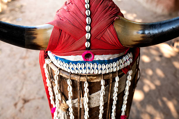 The Air Jordan 11: From Hardwood to Hallmark of Cultural Cool