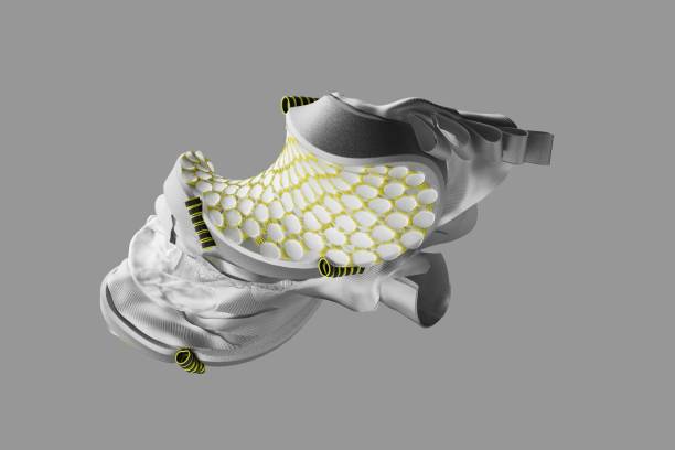 The Evolution of the Yeezy Boost 350 Release Strategy: From Scarcity to Saturation