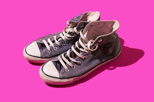 The Hall of Fame for Sneakers: A Cultural Pantheon of Iconic Footwear