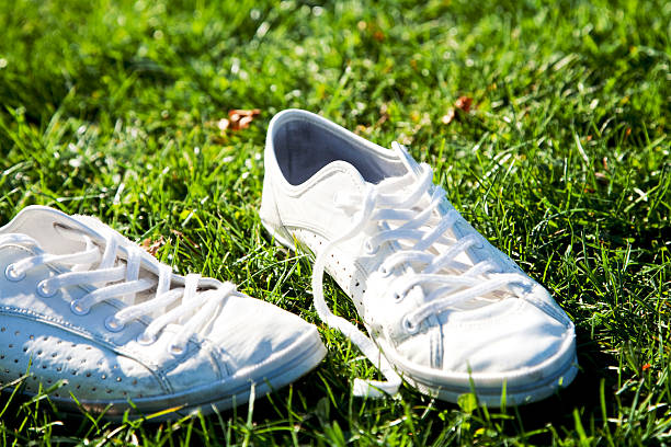 Essential Sneaker Care and Maintenance for Longevity and Style