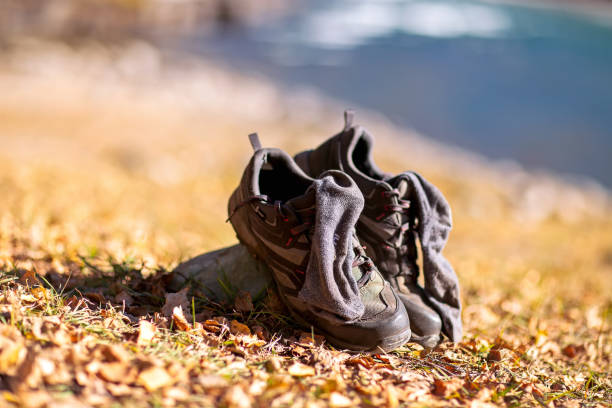 The Essential Guide to Choosing the Perfect Hiking Sneaker