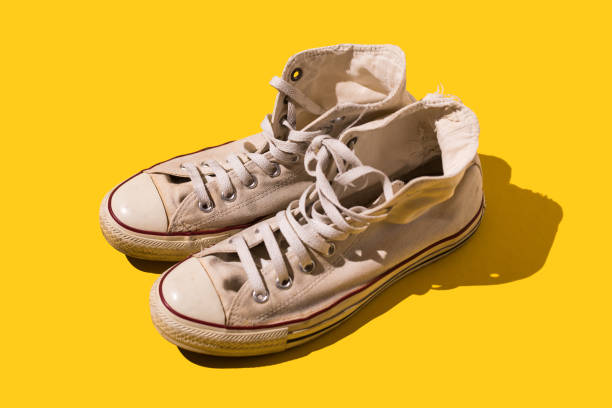The Enduring Allure: Why Sturdy Vintage Sneakers Captivate Collectors