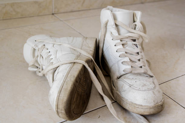 The Science of Sneaker Odor: Why Your Kicks Stink and How to Fix It