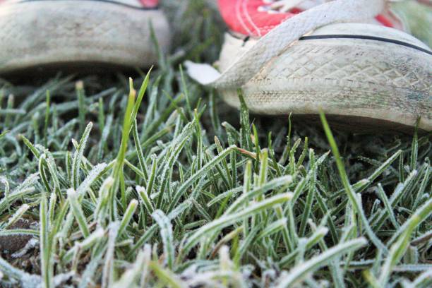 The Freeze-Out Strategy: Using Subzero Temperatures to Banish Sneaker Odor