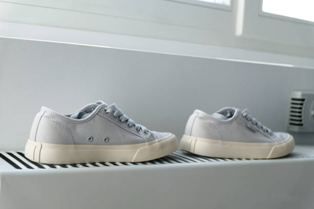 The Case for Climate Control: Why Your Sneaker Collection Needs More Than Just a Box