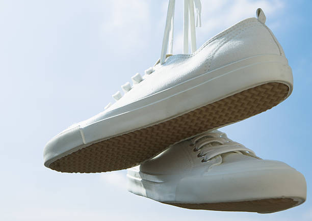 The Emotional Economics of Grail Hunting: Why We Chase the Unattainable Sneaker