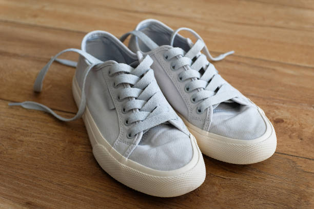 The Evolution of the Canvas Sneaker: From Court to Street