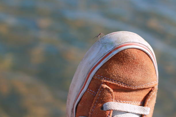 The Puma Suede and the Birth of B-Boy Style