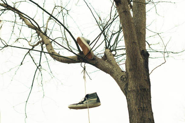 From Obsession to Identity: The Legacy of “Sneakerheadz” in Sneaker Culture