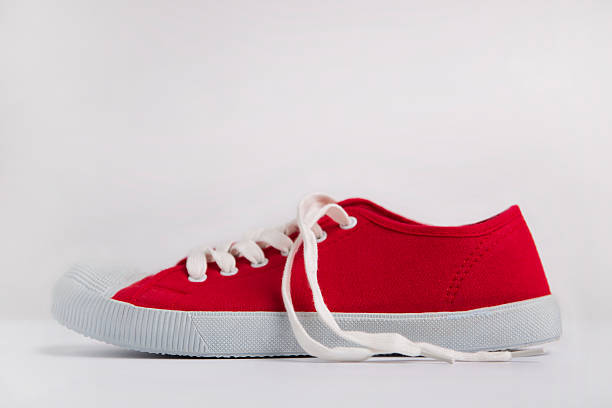The Evolution of Sneaker Collecting in the United States: From Hobby to High Finance