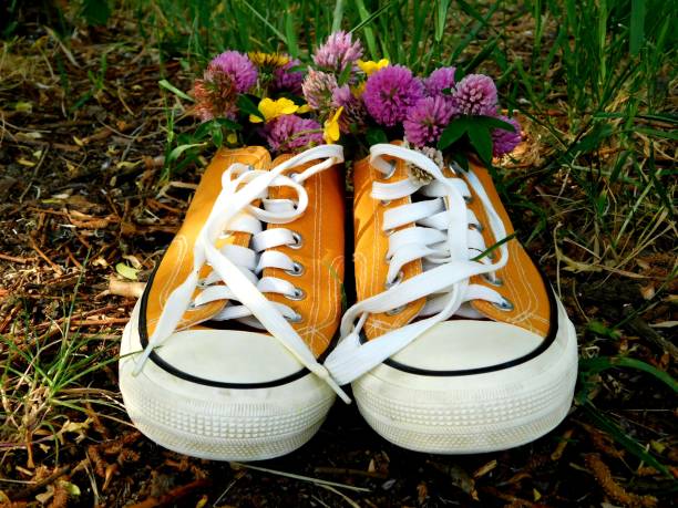 The Geography of Hype: Navigating Sneaker Release Maps and Regional Exclusives