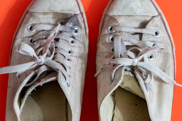 Preserving the Legacy: Essential Care and Protection for Your Nike Dunks