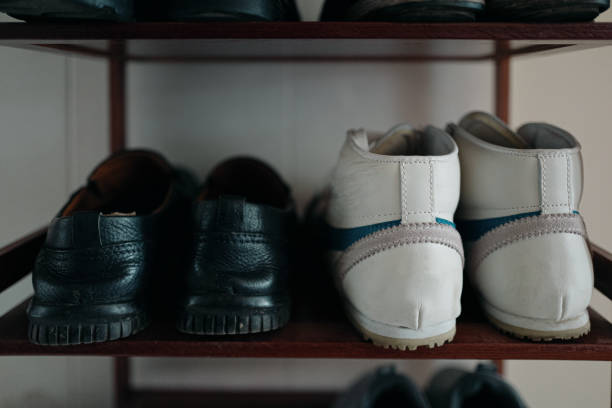 The Science of Sneaker Storage: Why Climate Control and Material Preservation Matter