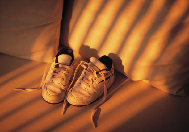 The Ethics of Sneaker Bots: Fairness in the Digital Drop Era